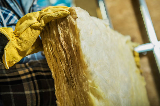 Best Eco-Friendly Insulation in Brigham City, UT