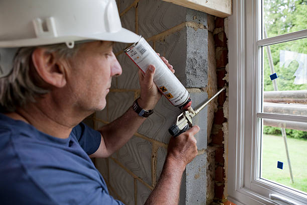 Best Eco-Friendly Insulation in Brigham City, UT